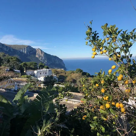 Tenerezza Capri