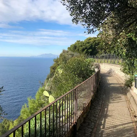 Tenerezza