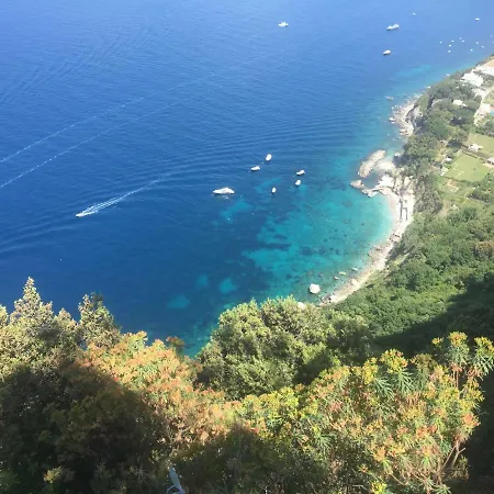 Tenerezza Capri