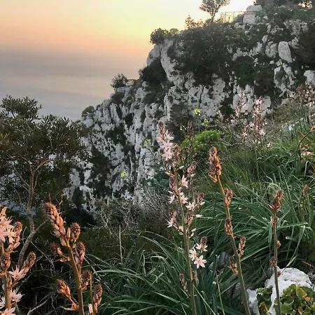 Tenerezza Villa *