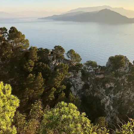 Tenerezza Capri
