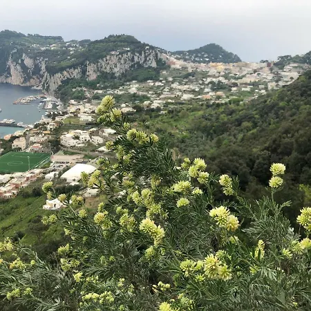 Tenerezza Villa *