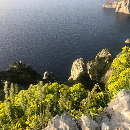 Villa Tenerezza *