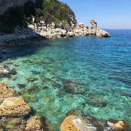 Tenerezza
