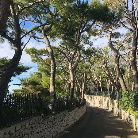 Tenerezza Villa