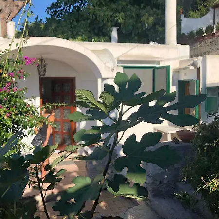 Tenerezza * Capri