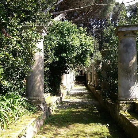 Tenerezza