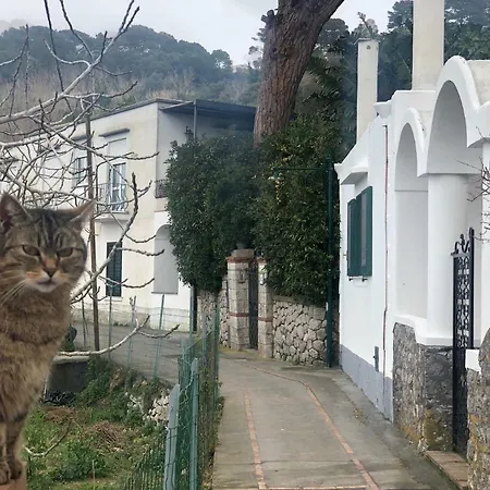 Tenerezza Villa *
