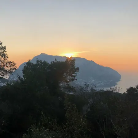 Tenerezza Capri