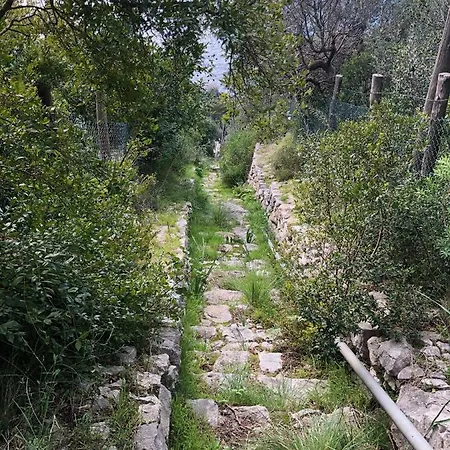 Tenerezza