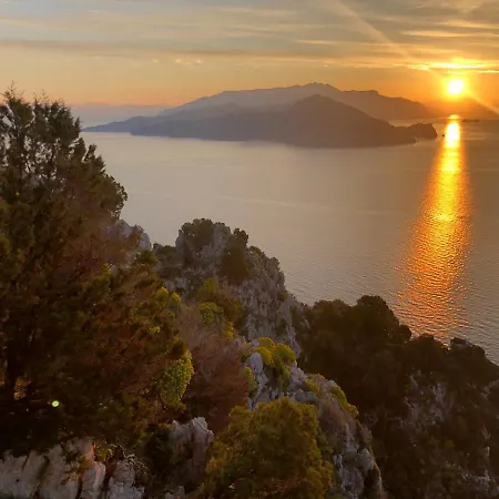 Tenerezza Capri